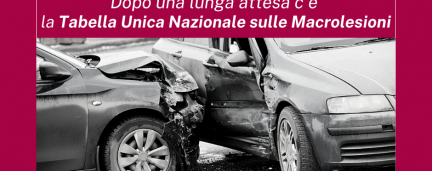 TABELLA UNICA NAZIONALE SULLE MACROLESIONI: C’E’ IL SI’ DEFINITIVO DEL GOVERNO
